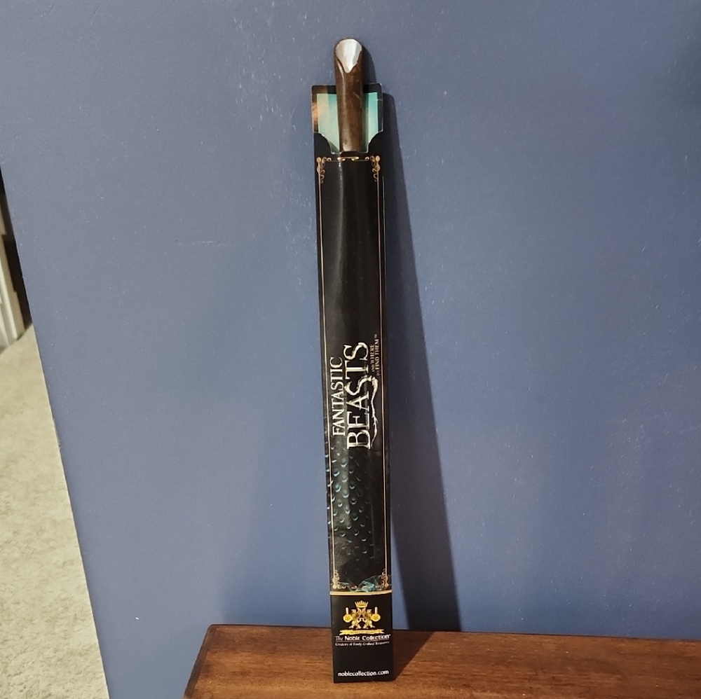 Black and Silver Wand